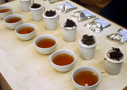 Tea tasting session